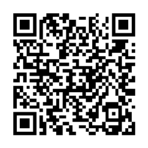 不过极乐界能如此装扮的佛门弟子怕是没有第二家二维码生成