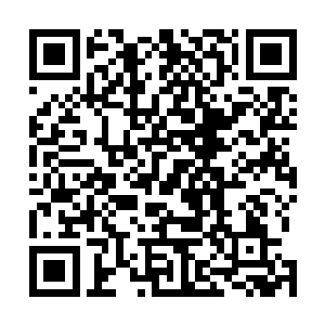 不过林封谨也不是什么连韭菜麦苗也分不清楚的纨绔子弟二维码生成