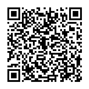 不过根据我对你们资料的了解你们这十五人里并没有擅长特殊领域的人二维码生成