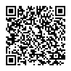 不过格拉克罗多人的重点研究对象还是当时地球上的主宰――恐龙二维码生成