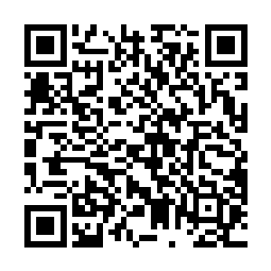 不过桑德拉没有任何遮掩的态度却让事情变得简单起来二维码生成