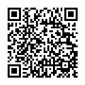 不过此刻这些妖兽异形和异形人显然也是得到了楚旬的命令二维码生成
