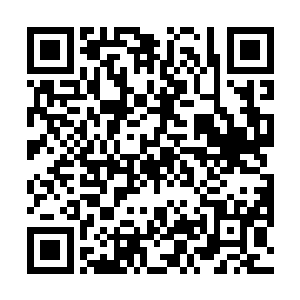 不过此时却明显示发现这小鸟的模样比起方才好了许多二维码生成