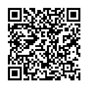 不过现在我神界又多了杨道友这么一尊主神境界的超级高手二维码生成