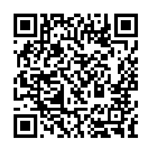 不过现在杨戬表现出如此恐怖的逆天的实力之后二维码生成