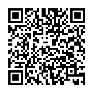 不过现在秋山还只是刚脱离皮包公司的小渔业公司二维码生成