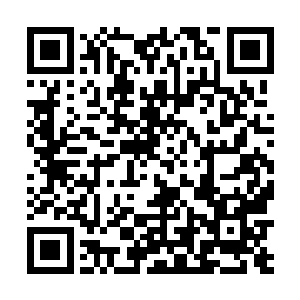 不过现在长老们已经确定想要吸纳你进入我们龙组当中二维码生成