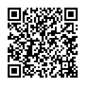 不过由于龙傲天在爵迹大陆修炼使自己功力在不断地的增强二维码生成