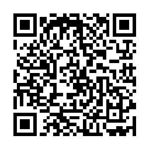 不过百代唱片暂时不打算为荣耀至死拍摄音乐录影带二维码生成