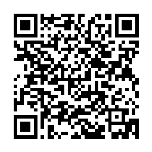 不过看似很乱的芭蕉树叶其实遵循了锁子甲的叠放结构二维码生成
