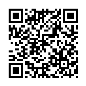 不过看到顾岚衣袖处顾氏家族的紫金徽记二维码生成