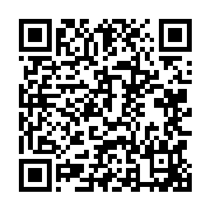 不过看样子他们的生存状态貌似比自己更加……艰难一点二维码生成