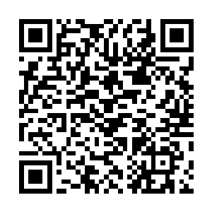 不过看金在珉没有要说的意思也就没有再进一步的逼问了二维码生成