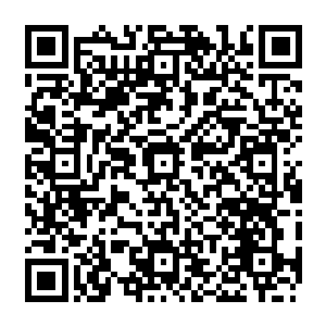 不过等他们来到这里看到满目疮痍尸横遍野的血魂门的时候眼中满是不可置信的神情二维码生成
