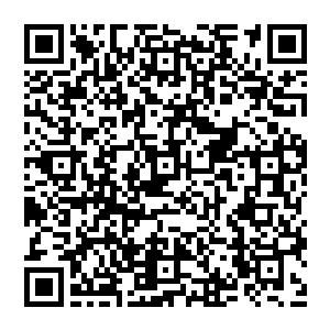 不过考虑到白兰养他是有用处而不是出于善心……让他想普通孩子可以吃喝玩乐一样反而会毁了他吧二维码生成