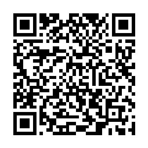 不过自己这已经准备好的攻城器总不能浪费了吧……二维码生成