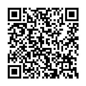 不过苏凡却在短短的几天就已经恢复成这个样子二维码生成