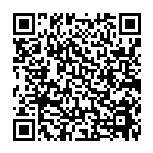 不过若是加上杨戬这么一个潜力无限的双神师的话……顿时秦铮也有些心动起来二维码生成