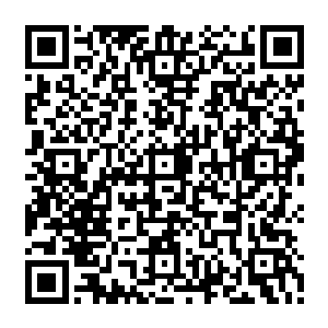 不过若是敢撒谎……我人族有一些叫人求生不能求死不得的手段可以让你见识一下二维码生成