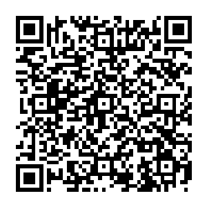 不过若是有人仔细观察的话就会发现叶尊的眉宇间无时无刻不在充斥着一股凌厉的气息二维码生成