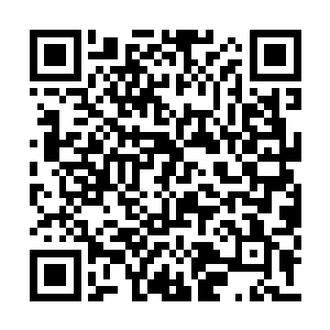 不过被我稍微抬高的托盘挡住了我的一部分视线二维码生成