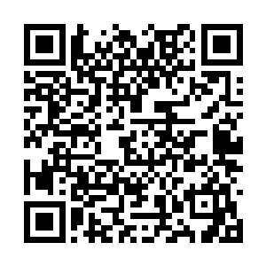 不过规模和气息显然还是无法跟真正的血海相比的二维码生成