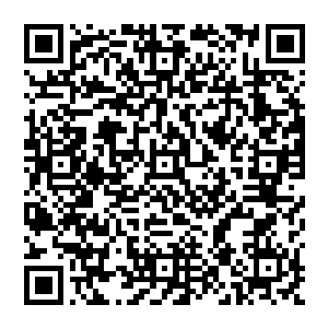 不过让丁丁想不通的是为什么他们对盯上自己呢难道他们知道自己和萧风的关系所以盯着自己了二维码生成