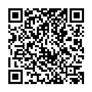 不过谢一鸣已经明确表示他无法参加韩天秦和他男友的婚礼二维码生成