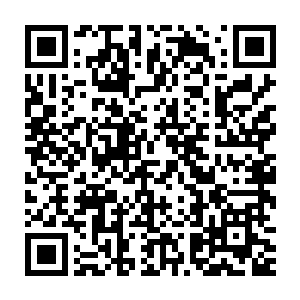 不过转念一想龙傲天不禁的再一次感觉到自己实在是太小看天域了二维码生成