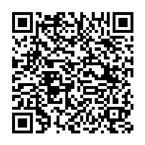 不过这一次这些荆棘藤蔓却并没有像之前那样缠住赤血暴君的全身二维码生成