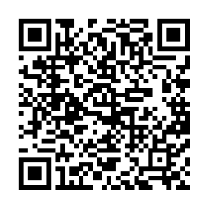 不过这两幢现代化的大厦却不是我们邹家当正骨医生赚来的二维码生成