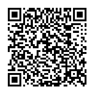 不过这个小十一也是一直不太相信夏天他们真的可以抗衡北极狼牙的实力二维码生成