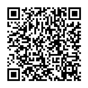不过这个时候将青塘纳入到整个大宋的社会分工里面还是勉强说得通的二维码生成