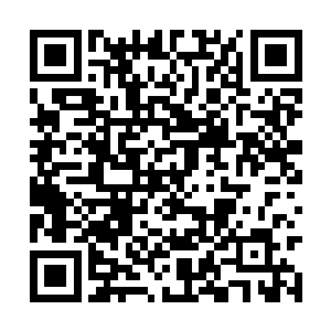 不过这个美利坚的高手的细微确确实实只有五厘米二维码生成