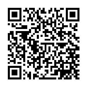 不过这件威力如此强横的上古灵宝竟然落在一只灵兽手中二维码生成
