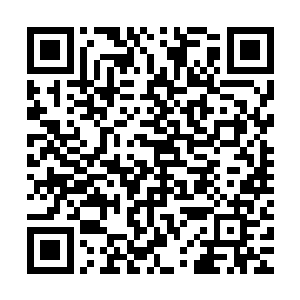 不过这十二条青蛇在秦宇脚刚跺下的瞬间便猛地从地上飞射而起二维码生成