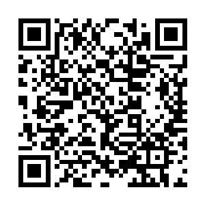 不过这笑意也不知道他是真的在开心的笑还是如何二维码生成