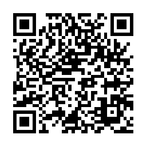 不过这e级的资源也已经完完全全足够一二年级用的了二维码生成
