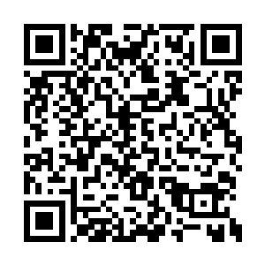 不过那个建立起来的宗门却要把握在家族的手中二维码生成