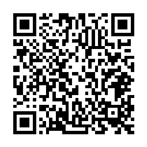 不过金不凡的爷爷金若飞在听到自己的祖宗这样夸赞自己的孙儿二维码生成