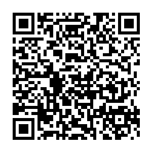 不过金月还是带着她们学生会的两个干部来办公室里找了洪涛一次二维码生成