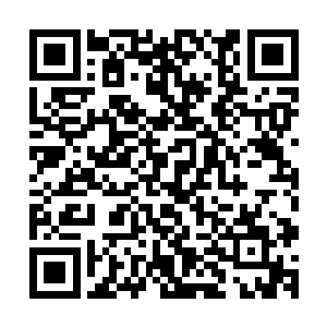 不过门派大部分弟子的主要活动区其实还是在三座神塔的中央二维码生成