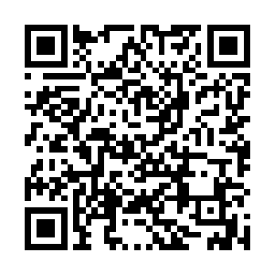 不过防人之心不可无……宋姨娘虽然日日在我面前伺候二维码生成