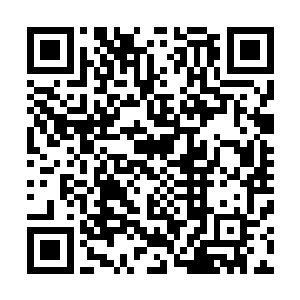 不过陈局已经准备好了之前的一些文件在办公室等着两位呢二维码生成