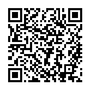 不过随即只一脸懵逼的突然看向个子最矮的流墨墨问道二维码生成