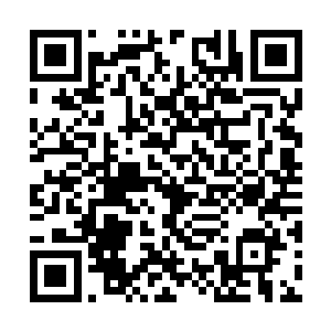 不过马文也不会因为他的挑拨就对黑手产生不信任二维码生成