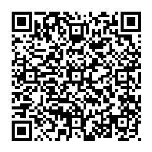 不远处像小花园的地方月夏正悠闲的逗弄这一只比小猪仔还肥的圆滚滚的粉色生物二维码生成