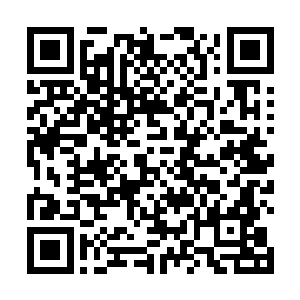 不都在帐上么不过还好会计师也不蠢立刻就答应了下来二维码生成