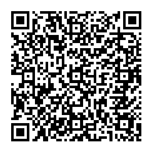 与其带着一抹疯狂　与之前比起來　那简直是判若两人　但接下來的一幕　却是让他委实吃了一惊二维码生成