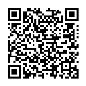 与其这样不如把他们召集在一起一次性全部解决掉二维码生成